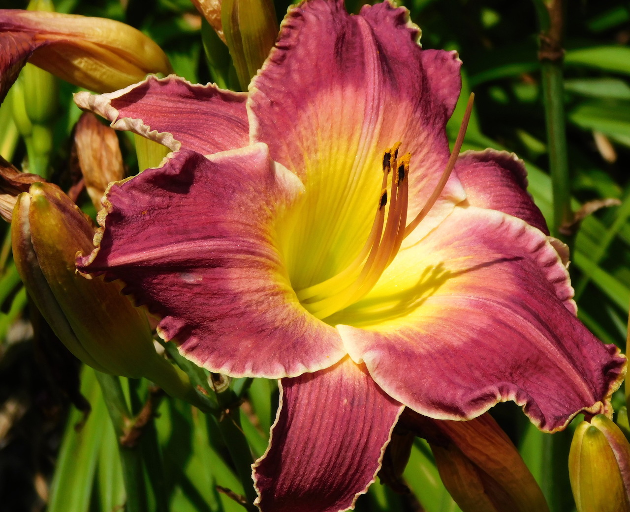 Vẻ đẹp lộng lẫy (Gorgeous)