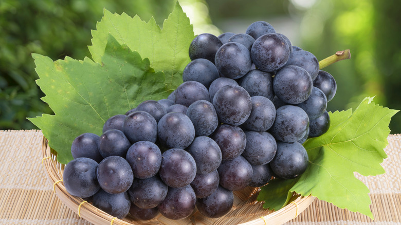 Ghép hình trùm nho (grape)