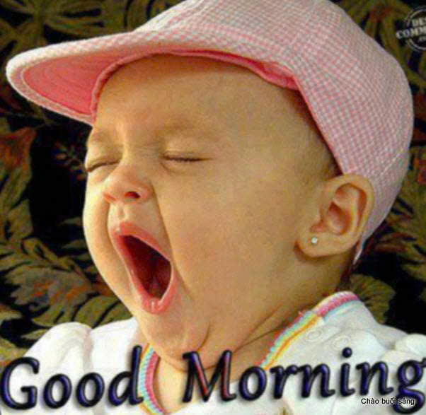 z1762215063374 001 55df3fd97a3199b3ea6a3750adc28e33