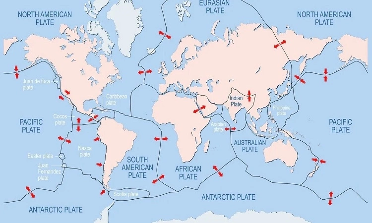 VNE Plate 8947 1697167241.jpg 2
